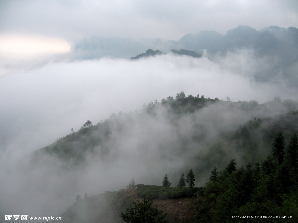 云雾风景