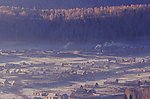 林地 狂野 丘陵 地