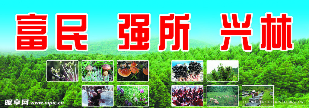 林场广告宣传
