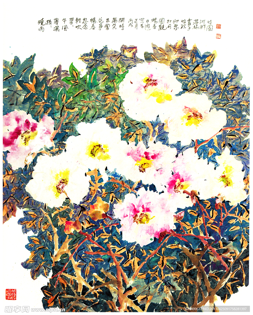 牡丹花