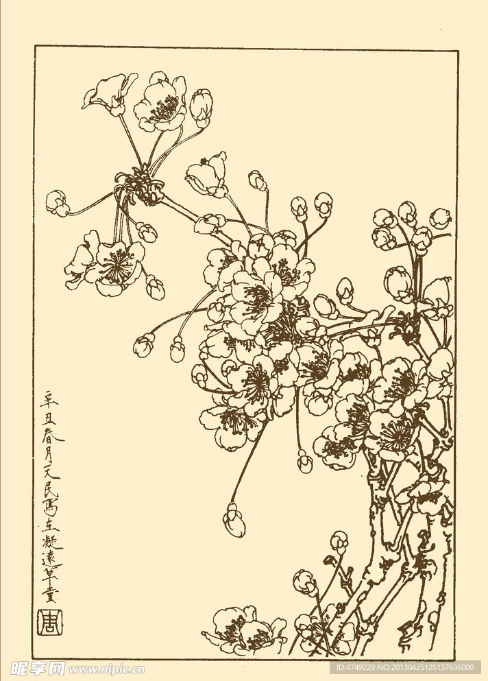 樱桃