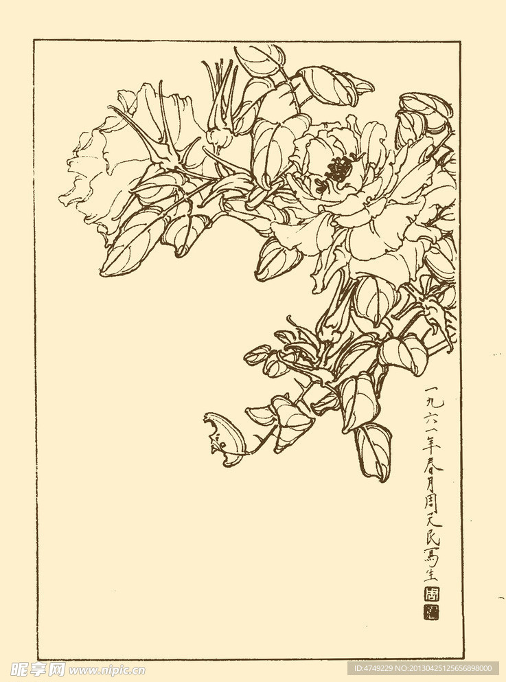 玫瑰
