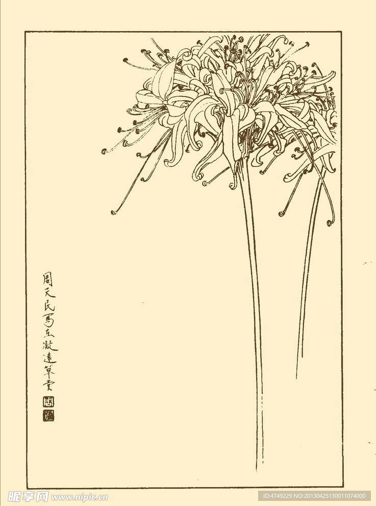 蟑螂花