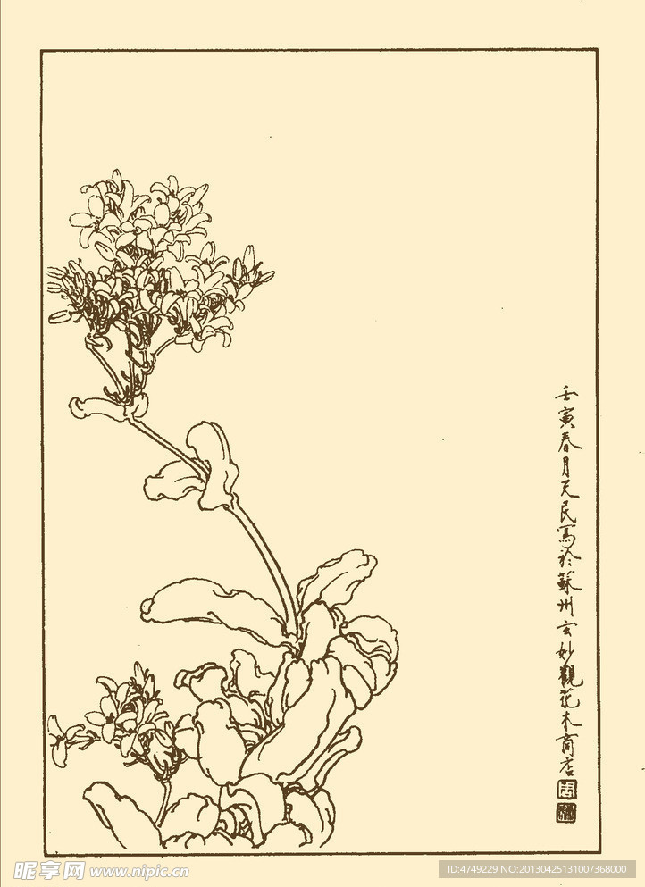 景天