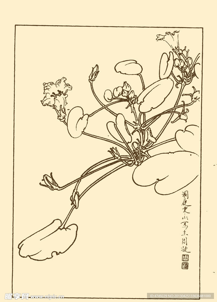 荇草