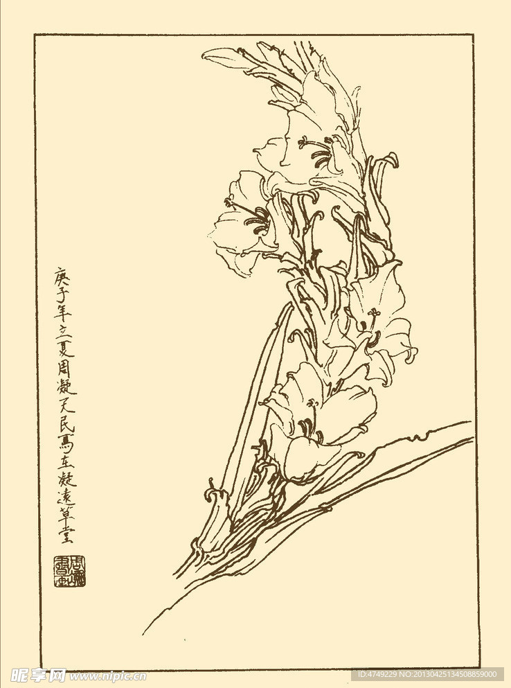 菖兰