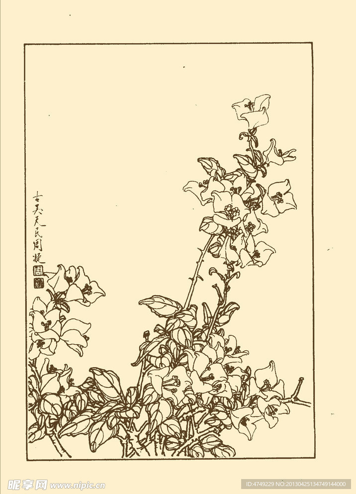 三角梅