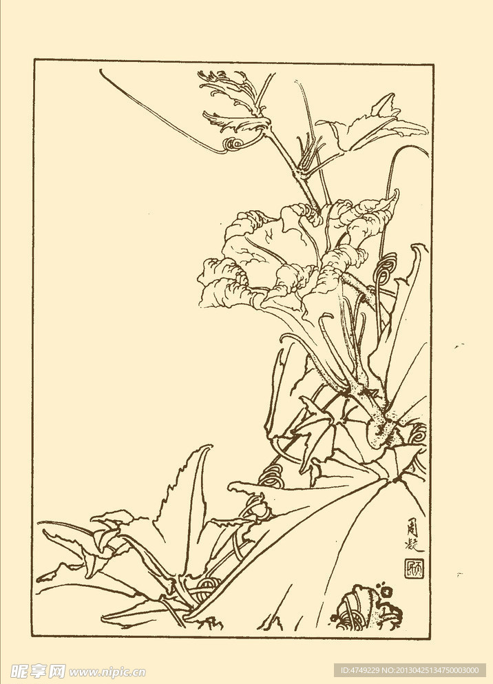 南瓜