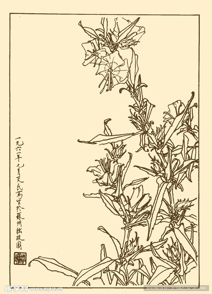 午时花