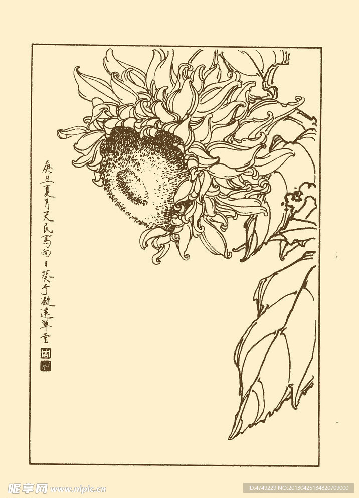 向日葵