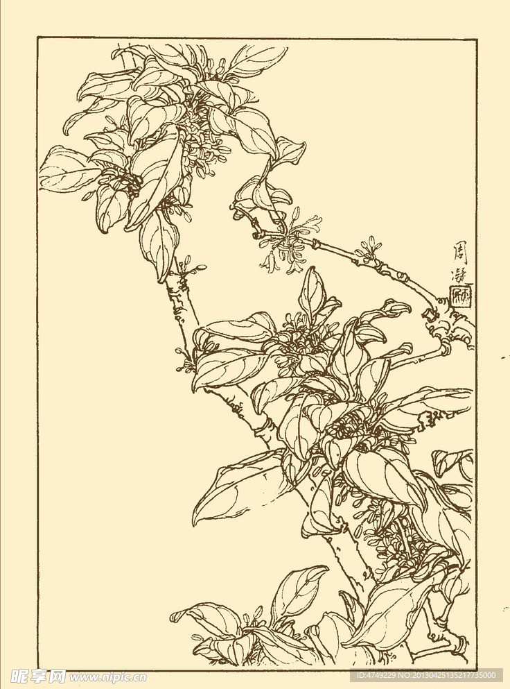 木犀花