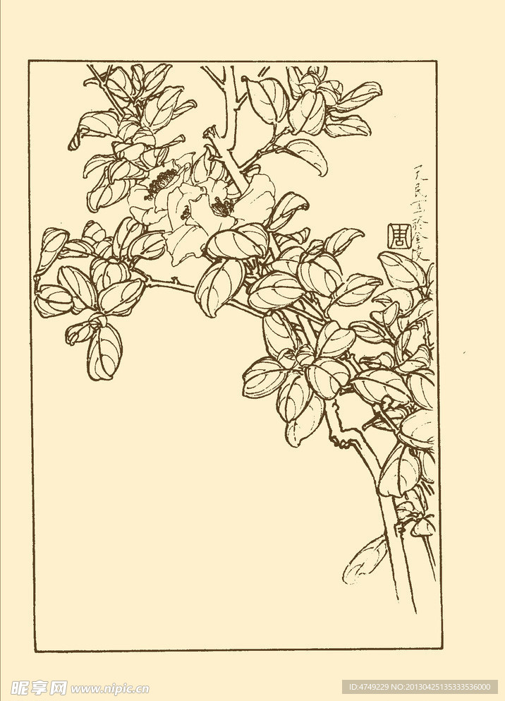 茶梅