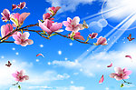 玉兰花