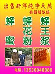 蜂蜜