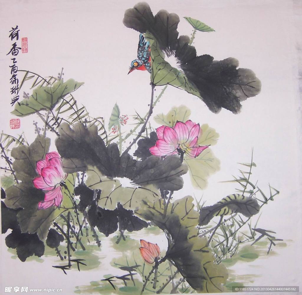 国画荷花