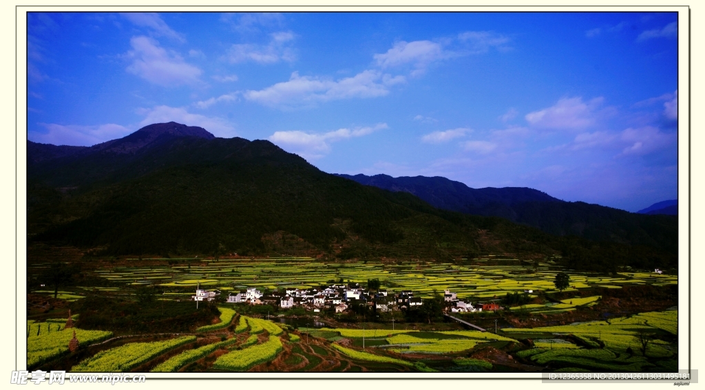 梯田 村庄 绿树 开