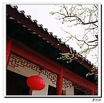 古亭 花开