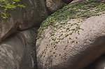 嵖岈山