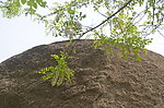 嵖岈山