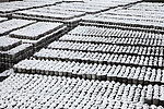 冬酿雪景