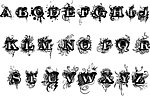 字母花纹