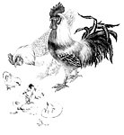 幸福一家