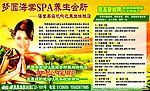 梦圆海棠
