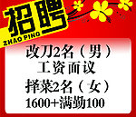 招聘彩页