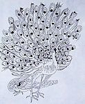 学生美术作品孔雀