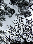 灰色天空