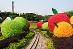 大苹果