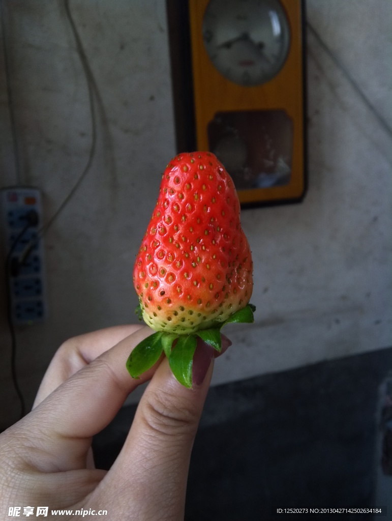 草莓