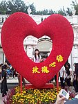 心形