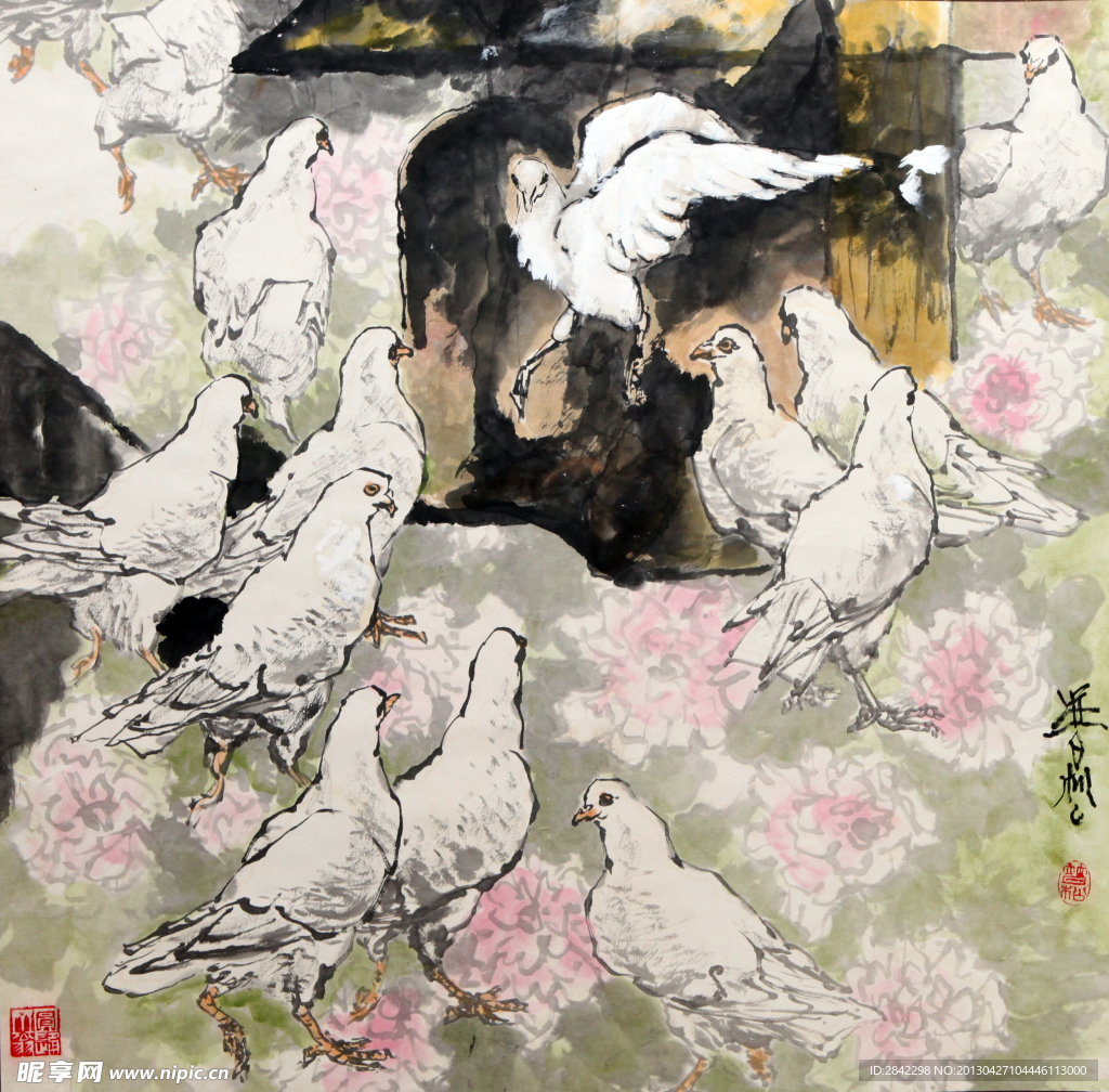 鸽子图