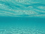 水底世界