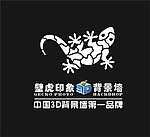 壁虎印象