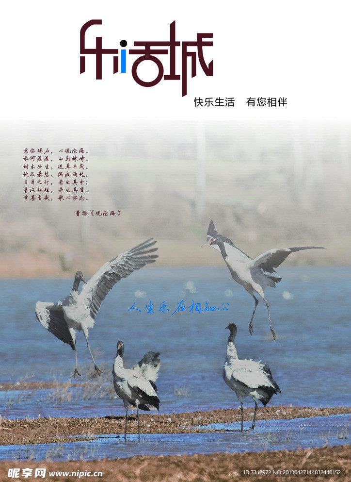 乐活海报