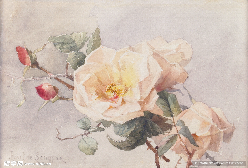 玫瑰花