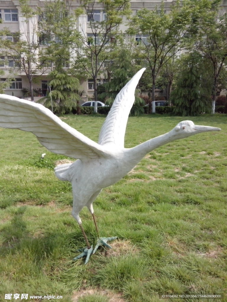 展翅飞翔的白鹤