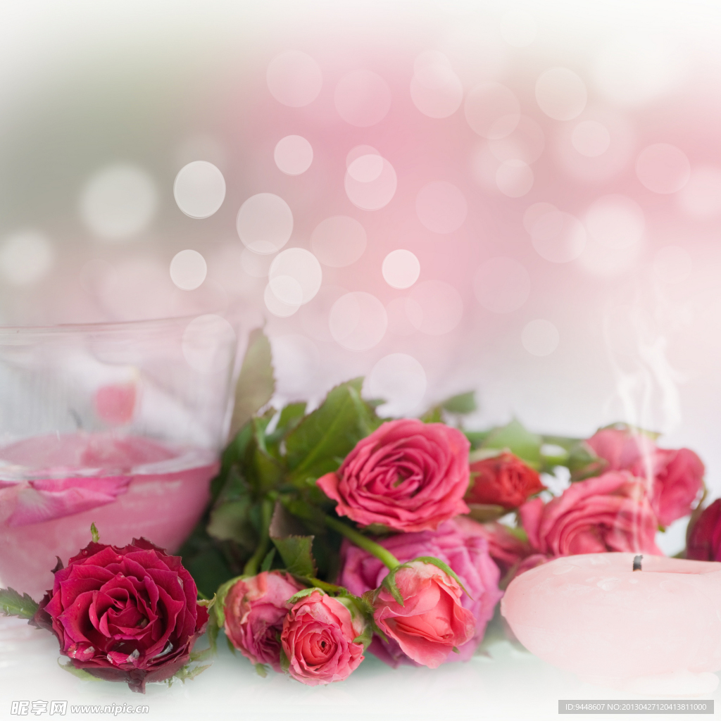 玫瑰花