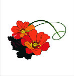 花纹