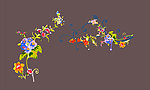花纹
