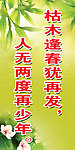 名人名言