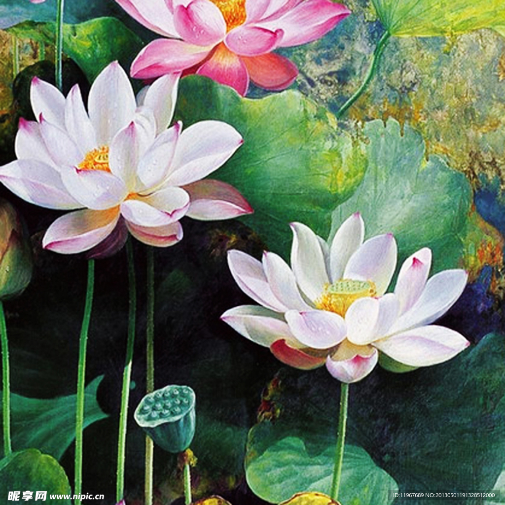 荷花