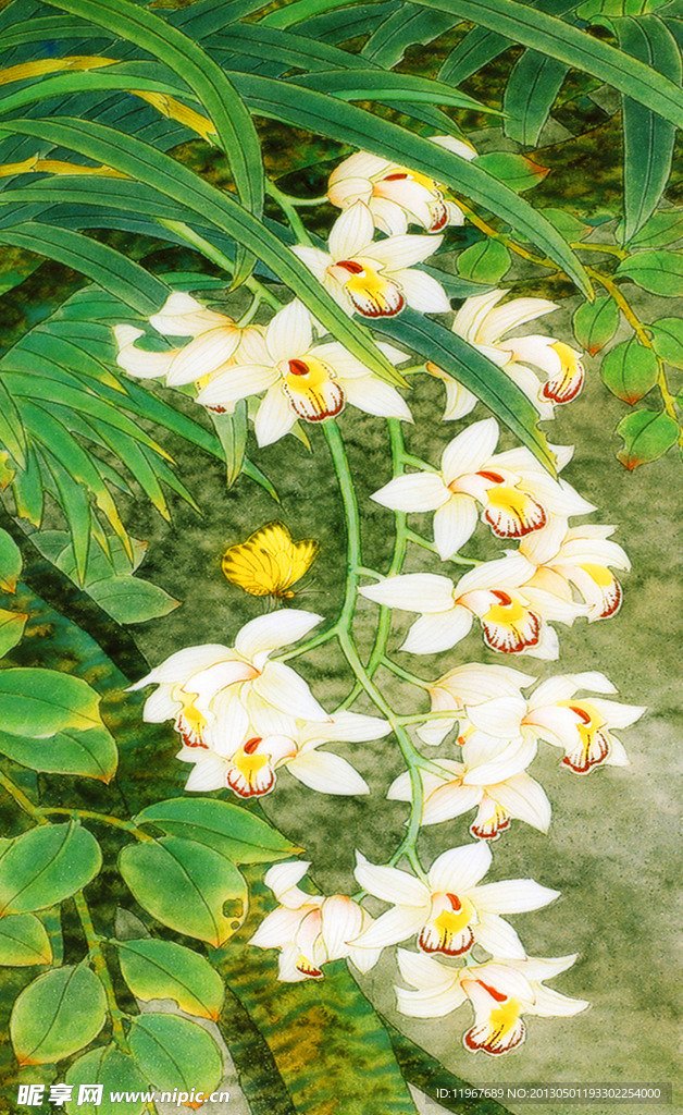 白色花