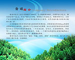 公司简介宣传海报