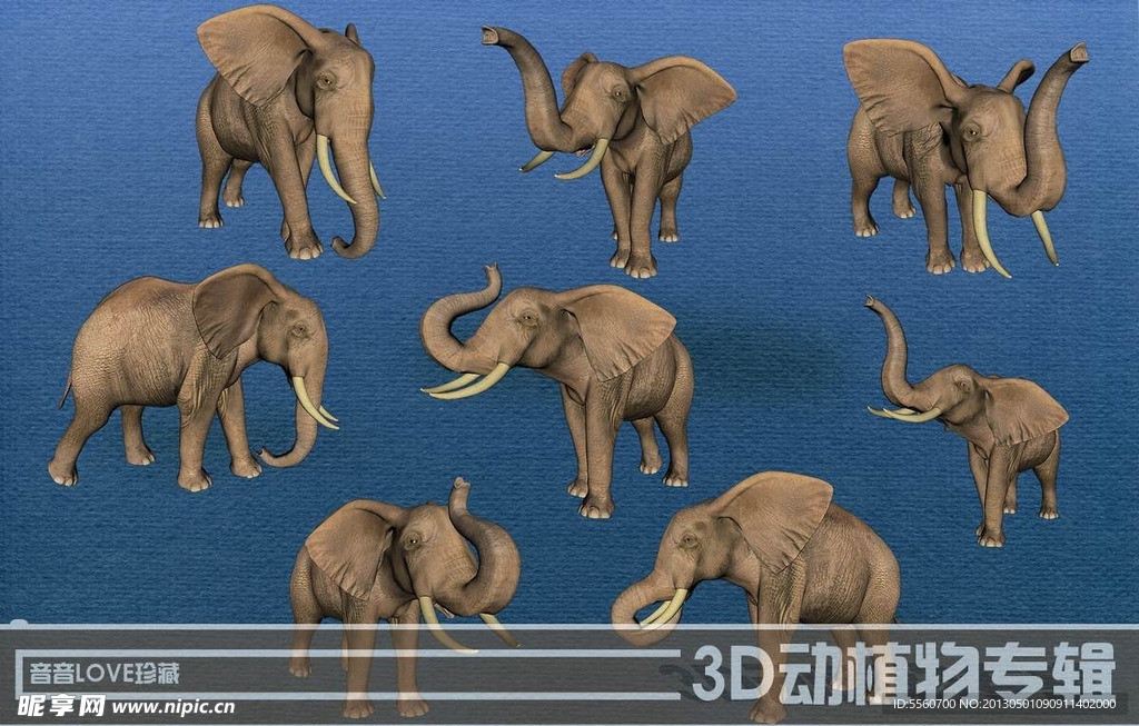 高清3D大象