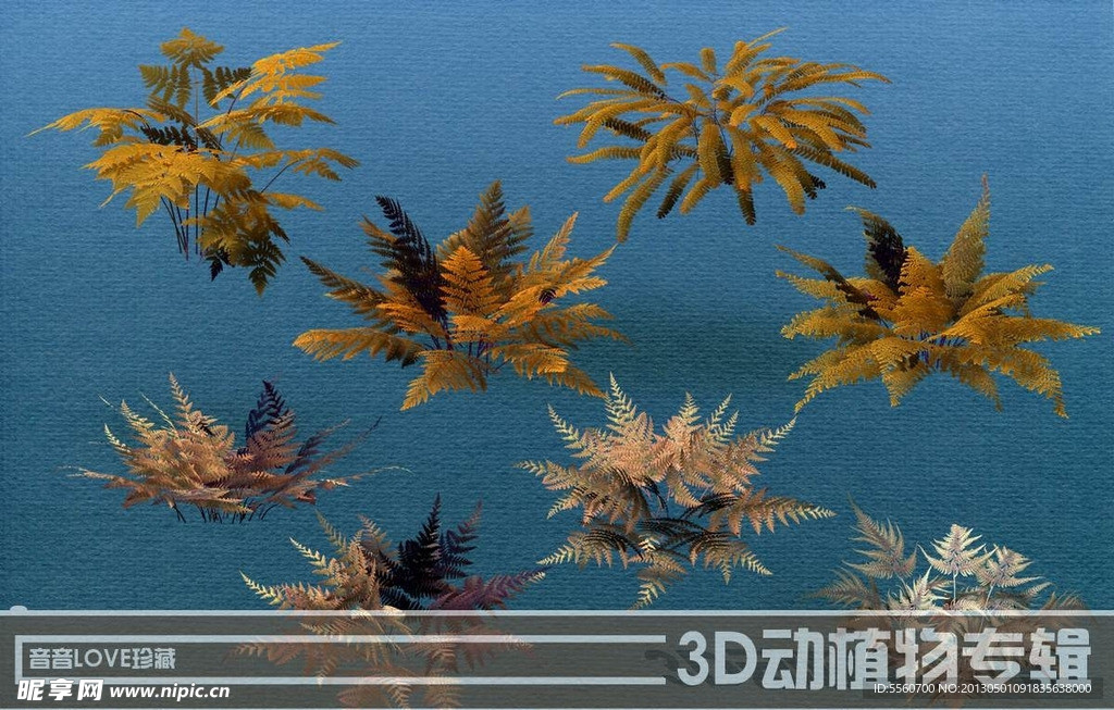 高清3D蕨类