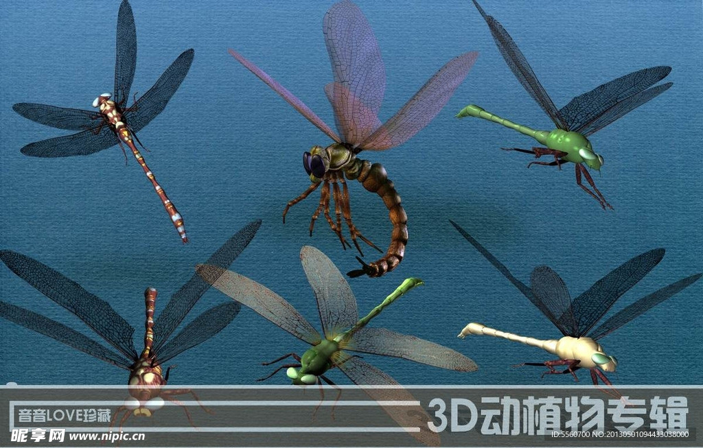 高清3D蜻蜓