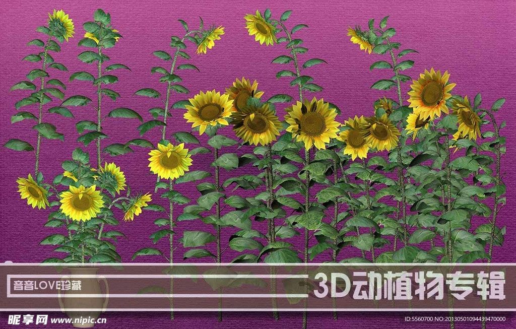 高清3D向日葵